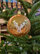 Vánoční koule TETRAO lesklé skořicové - jelen 6 ks