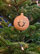 Vánoční koule TETRAO starorůžová - parohy 6 ks