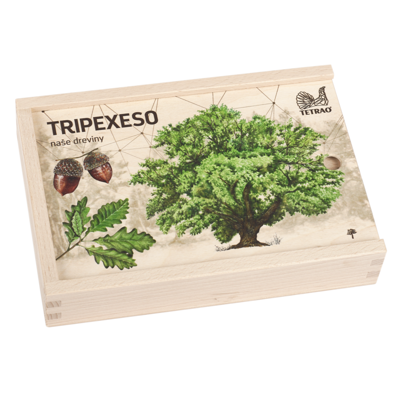 Vzdělávací tripexeso TETRAO - lesní dřeviny, 24 dílků