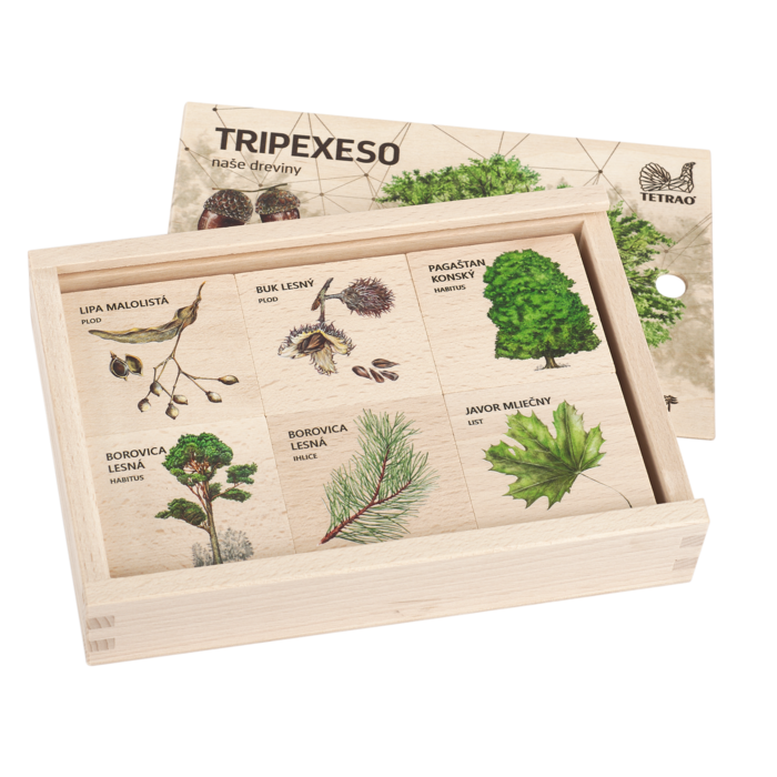 Vzdělávací tripexeso TETRAO - lesní dřeviny, 24 dílků 1