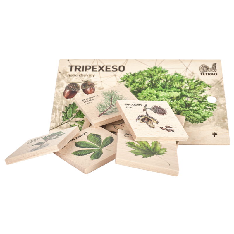 Vzdělávací tripexeso TETRAO - lesní dřeviny, 24 dílků 2