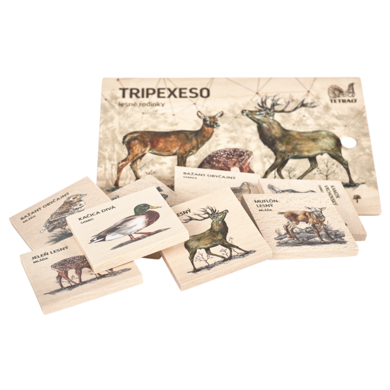 Vzdělávací tripexeso TETRAO - lesní rodinky, 24 dílků 2