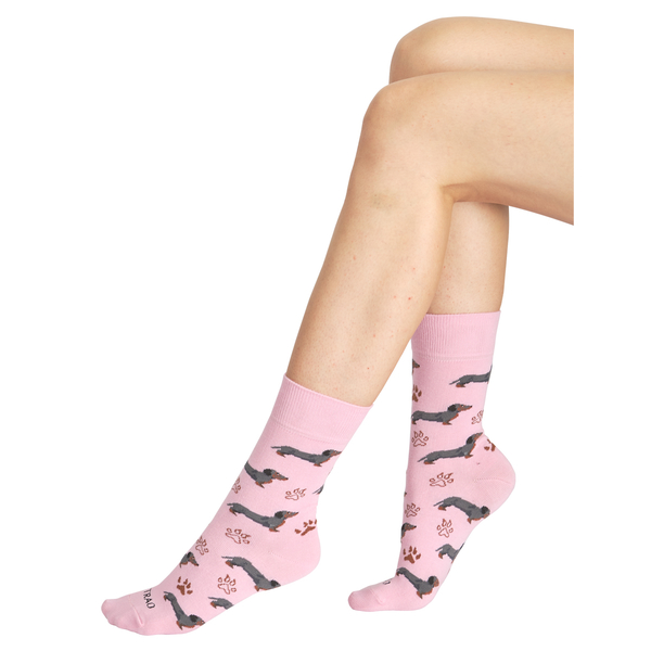 Veselé ponožky TETRAO jezevčík