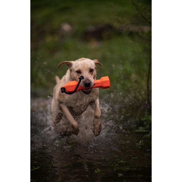 Výcvikový gumový bumper pro psy – oranžový 1