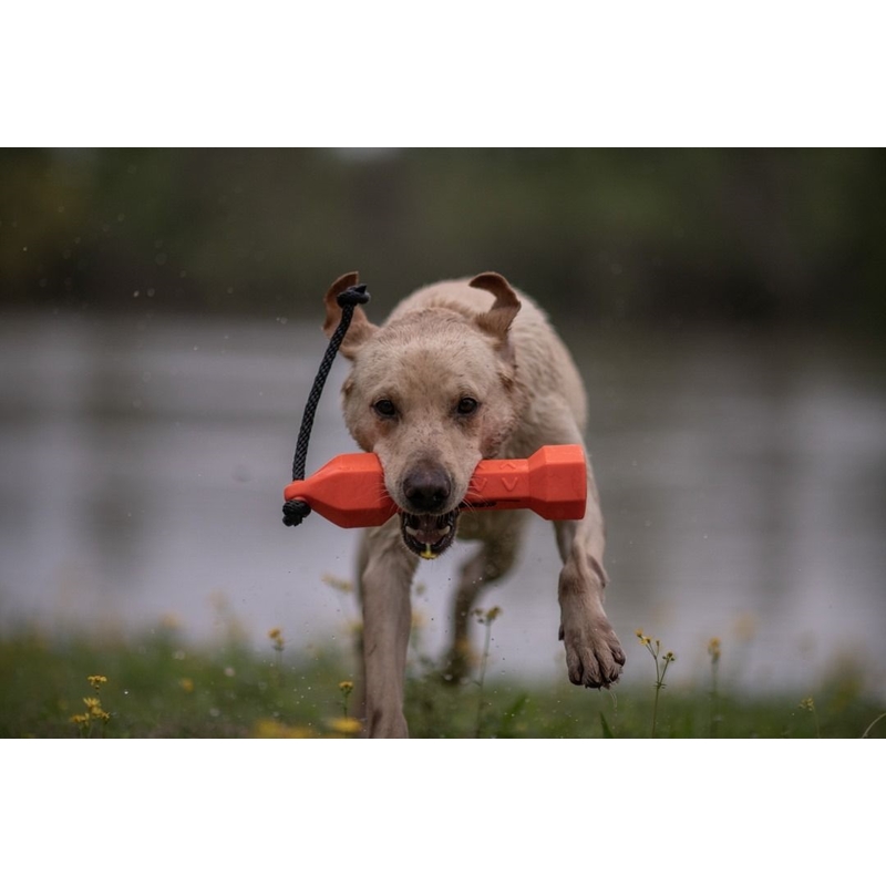 Výcvikový gumový bumper pro psy – oranžový 3