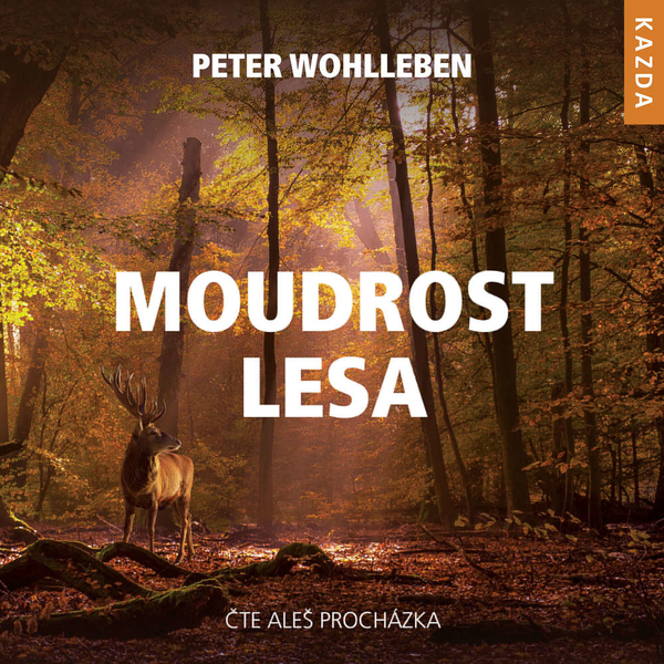CD audiokniha Moudrost lesa