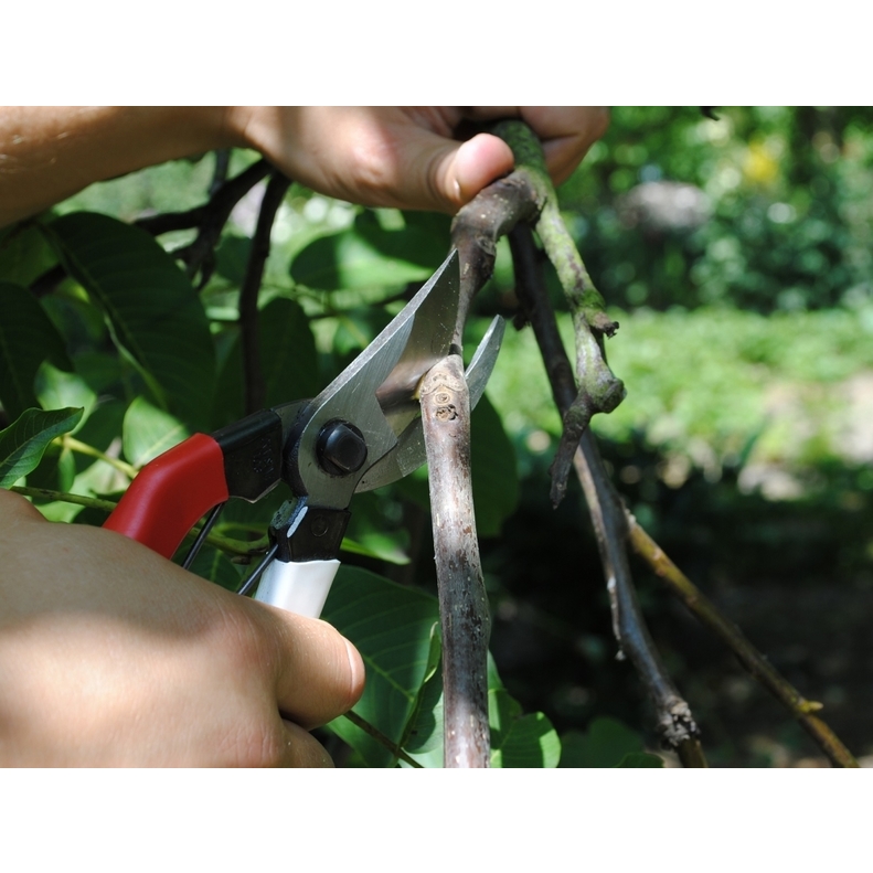 Profesionální zahradní nůžky Okatsune 103 2