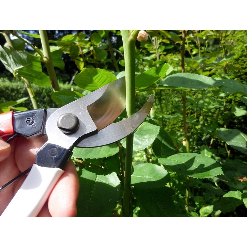 Profesionální zahradní nůžky Okatsune 104 3