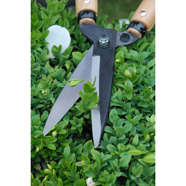 Profesionální zahradní nůžky Okatsune 204 3