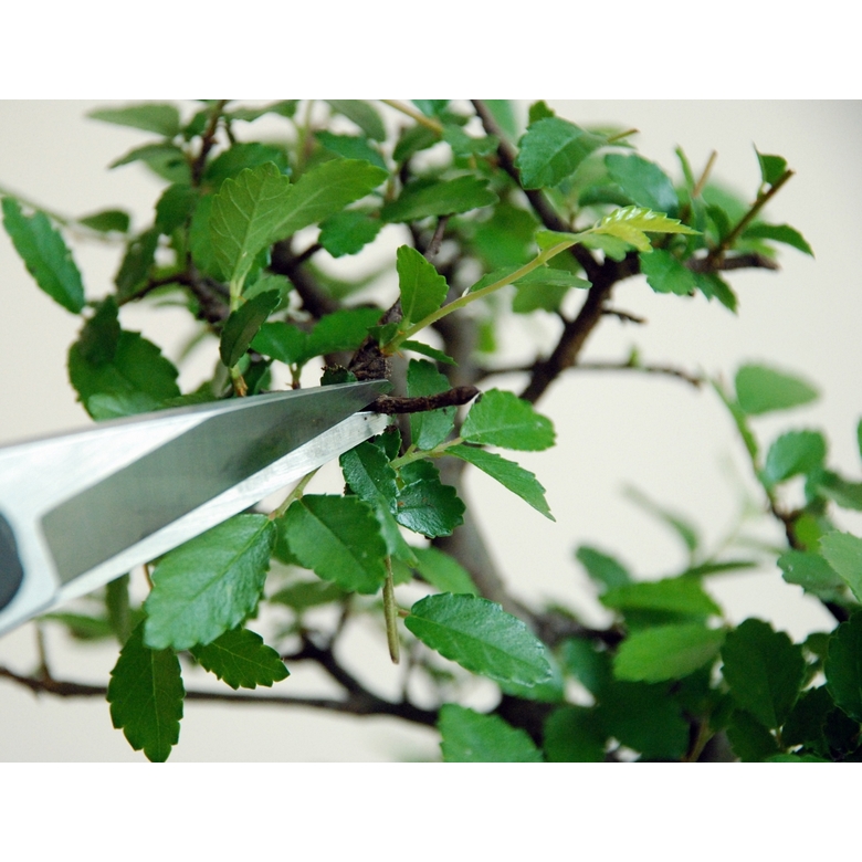 Profesionální zahradní nůžky Okatsune 207 2