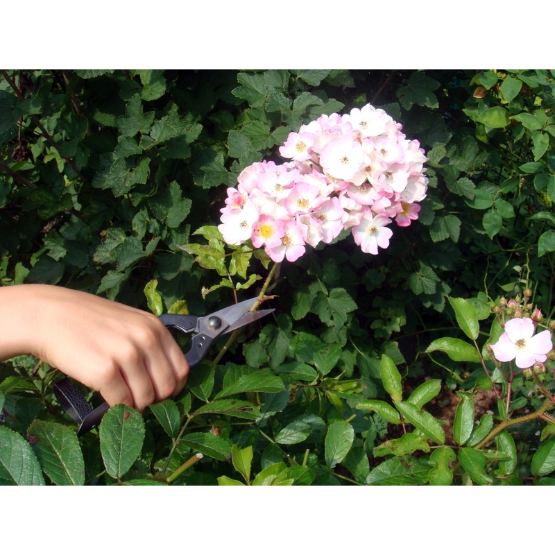 Profesionální zahradní nůžky Okatsune 207 3