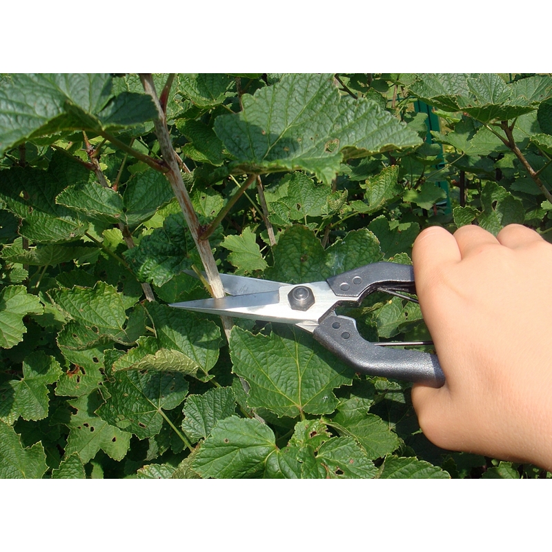 Profesionální zahradní nůžky Okatsune 207 4