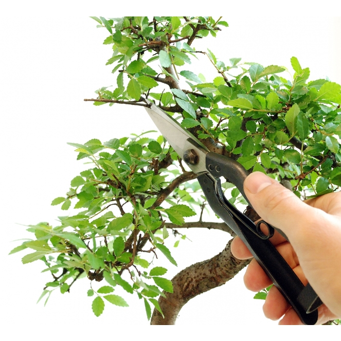 Profesionální zahradní nůžky Okatsune 207 8