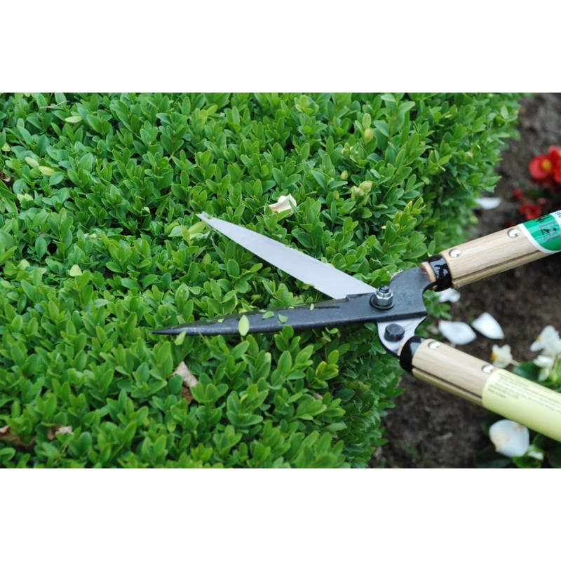Profesionální zahradní nůžky Okatsune 216 2