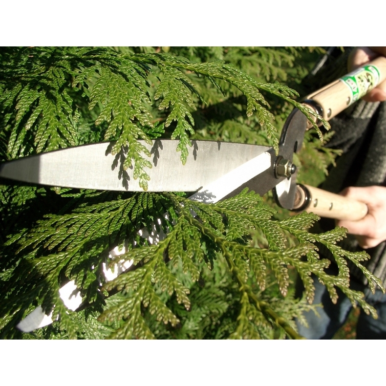 Profesionální zahradní nůžky Okatsune 231 3