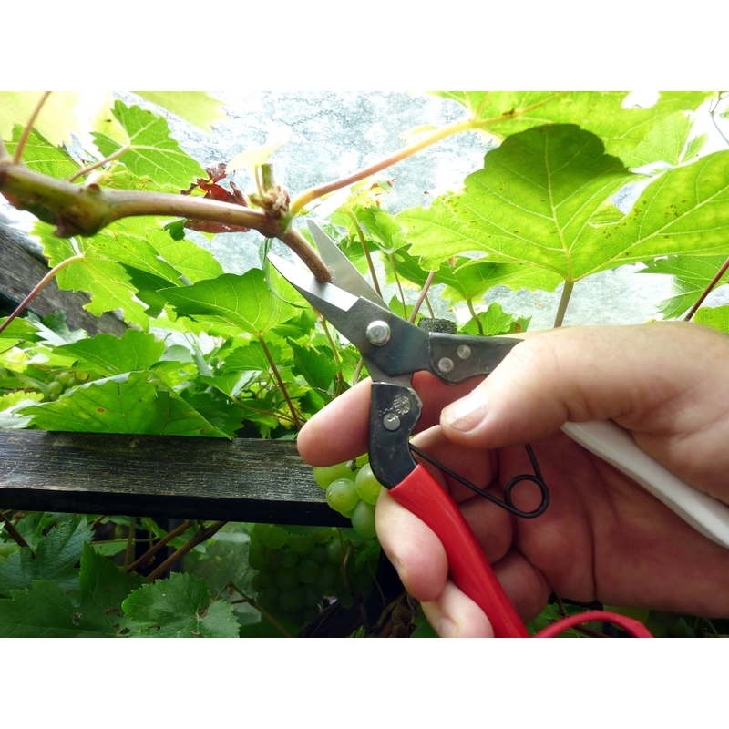 Profesionální zahradní nůžky Okatsune 307 1