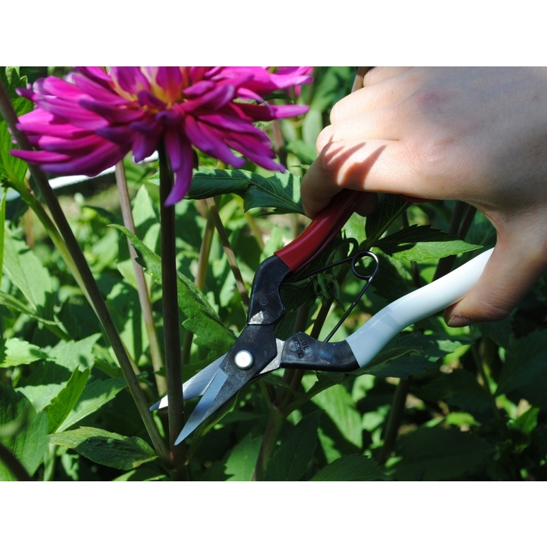 Profesionální zahradní nůžky Okatsune 307 2