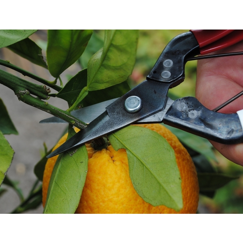 Profesionální zahradní nůžky Okatsune 307 4